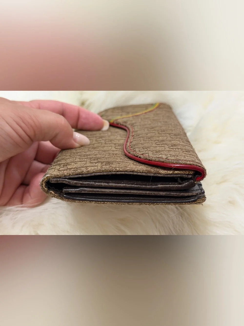 Christian Dior Y2K Vintage Trotter Monogram Rasta Color Canvas Saddle Wallet